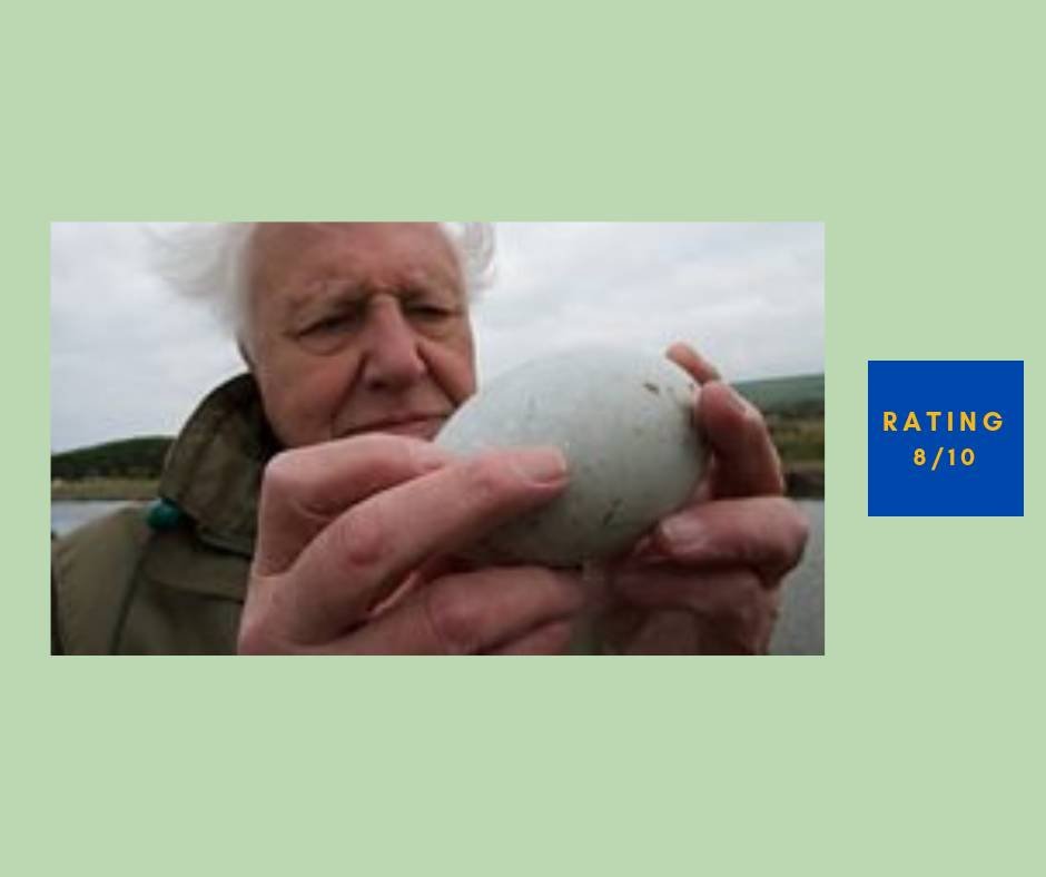 Attenborough's Wonder of Eggs review