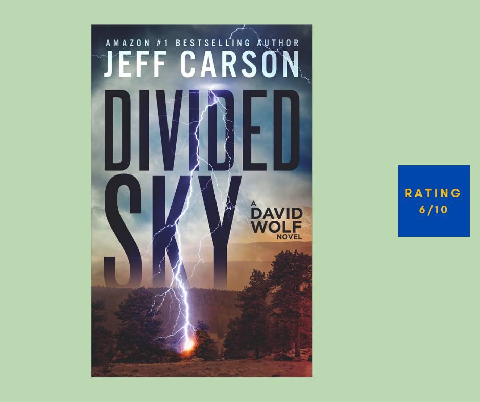 David Wolf Divided Sky review