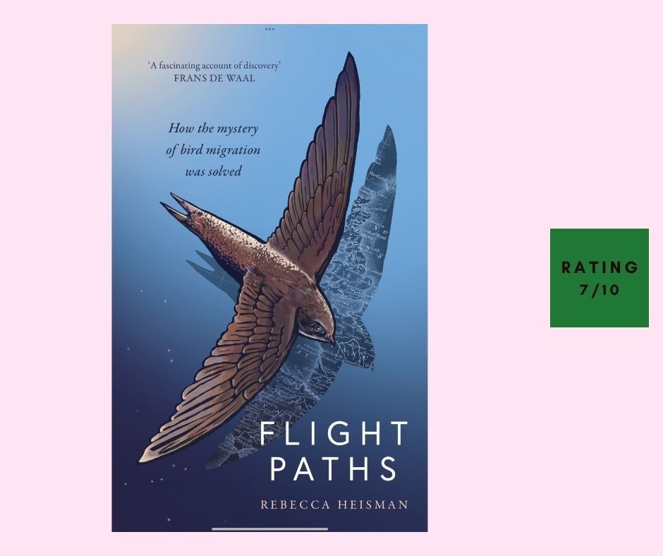 Rebecca Heisman Flight Paths review