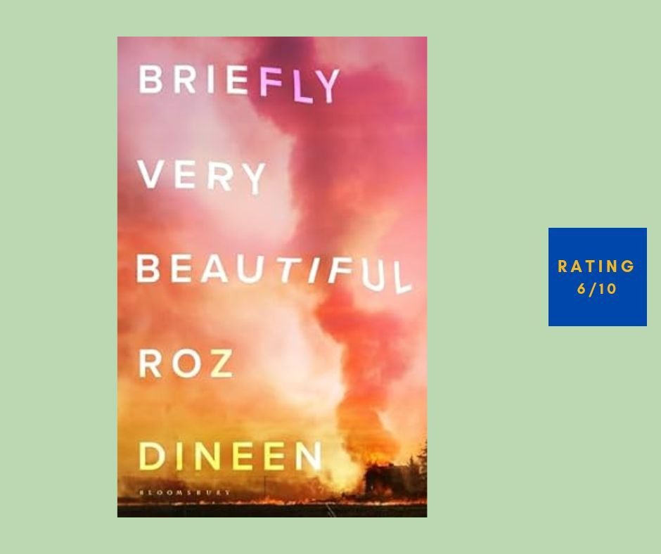 Roz Dineen Briefly Very Beautiful review